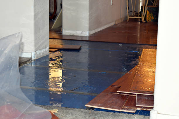 Professional Storm Water Damage Restoration technician working in Bushland, TX
